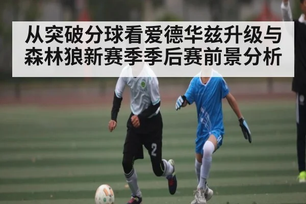 从突破分球看爱德华兹升级与森林狼新赛季季后赛前景分析